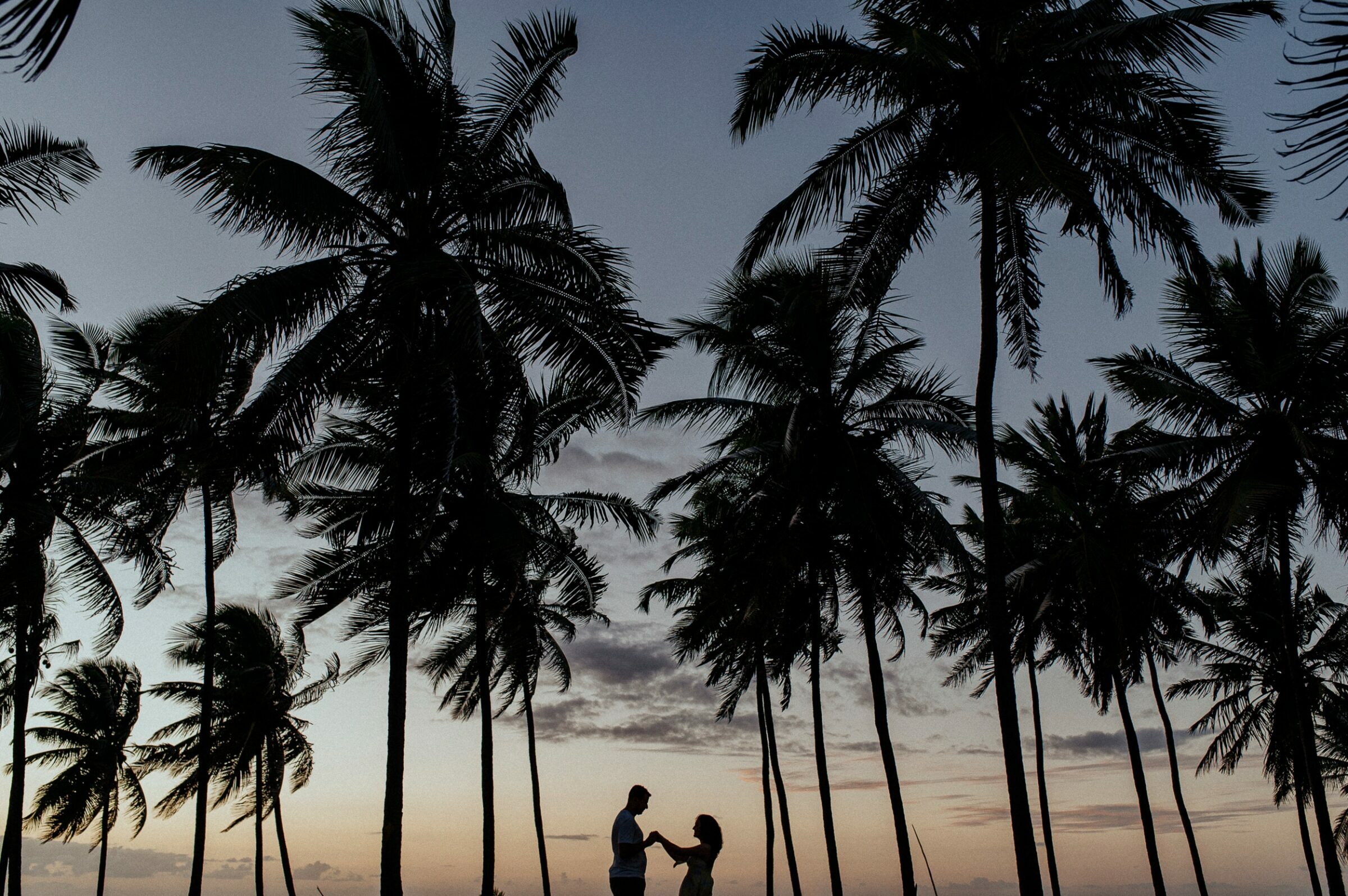 Foto de Carlos Alves 13