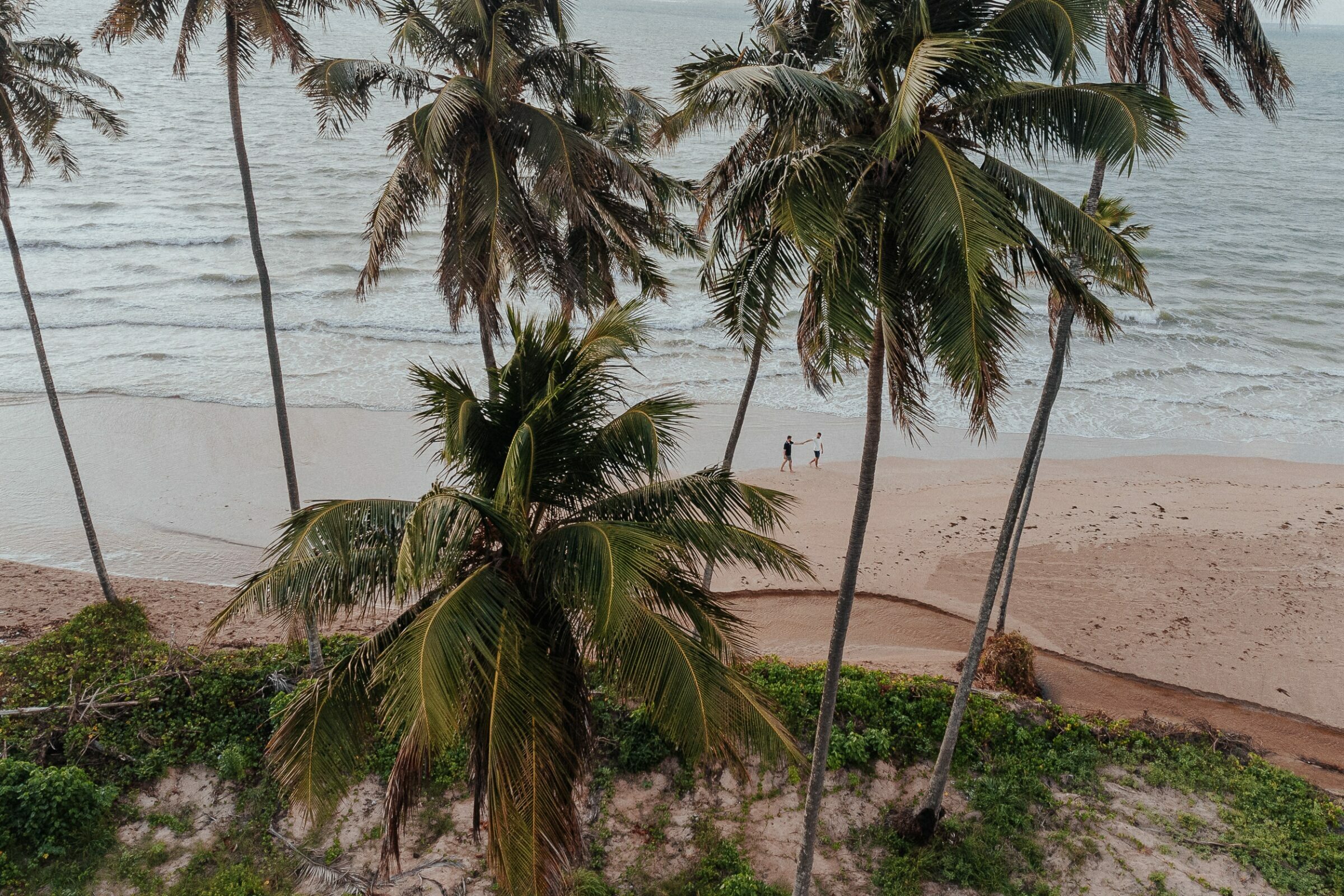 Foto de Carlos Alves 14