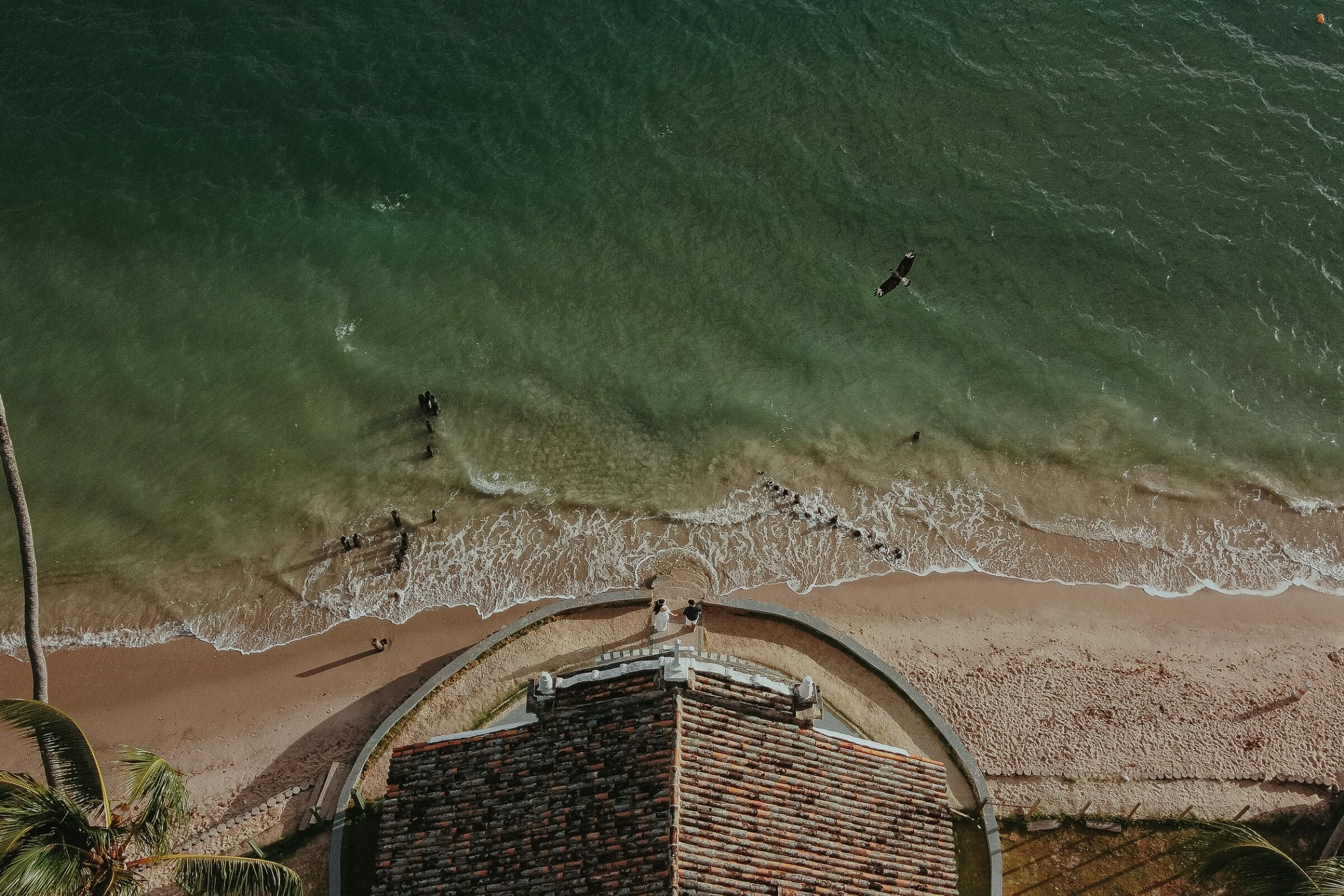 Foto de Carlos Alves 21