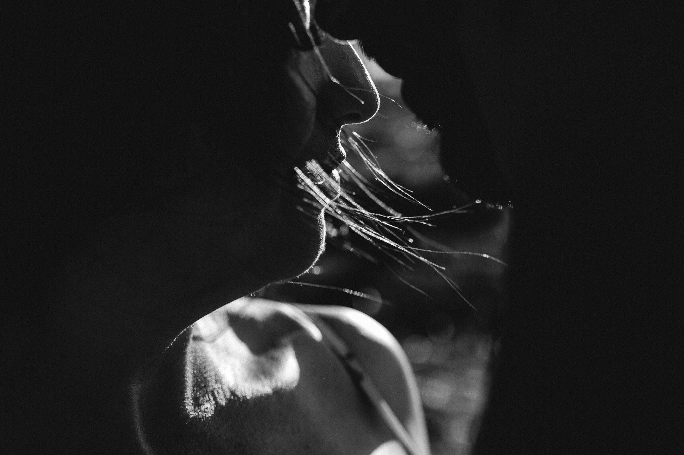 Foto de Carlos Alves 25